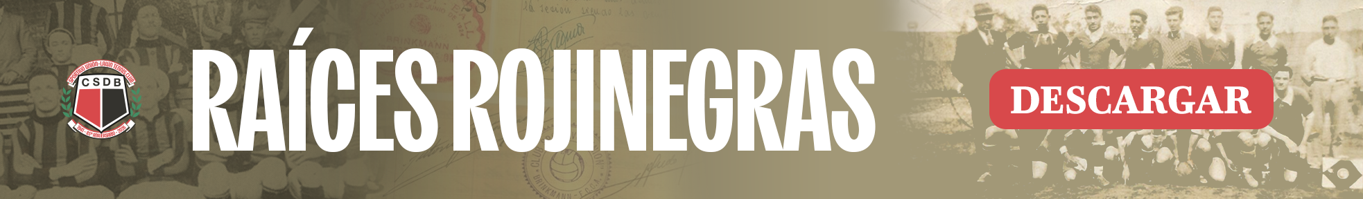 raices-rojinegras raices-rojinegras